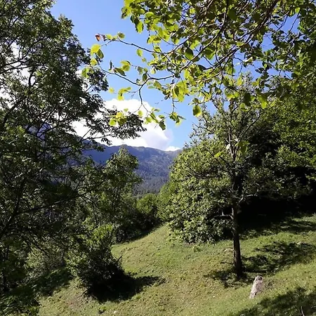 Centro San Michele - Casa Per Ferie Affittacamere 3*
