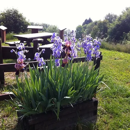 Guest house Centro San Michele - Casa Per Ferie 3*