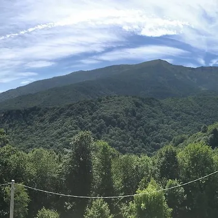 Affittacamere Centro San Michele - Casa Per Ferie 3*