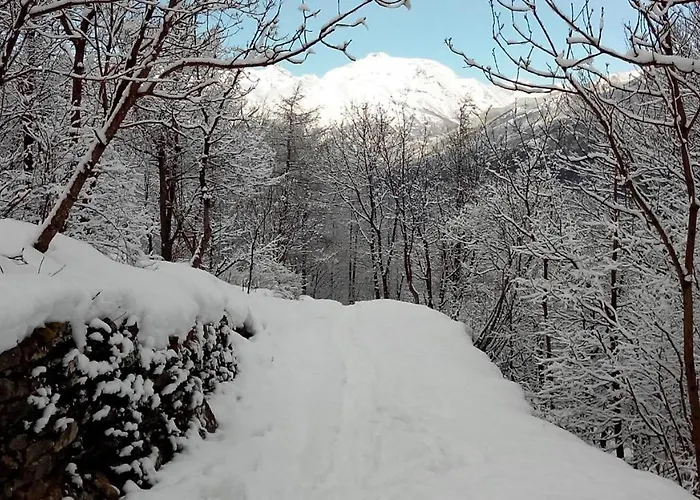 Centro San Michele - Casa Per Ferie San Giorio